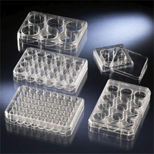 NUNC ���B(y��ng)��